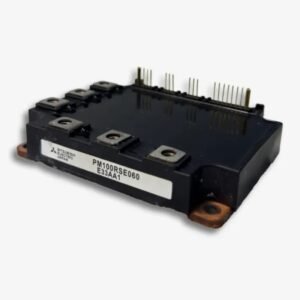 PM100RSE060